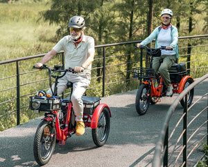tk1 folding electric trike