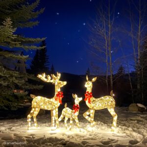 3 piece lighted christmas deer set outdoor decor with led lights