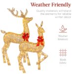3-Piece Lighted Christmas Deer Set Outdoor Decor with LED Lights - Image 3
