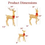 3-Piece Lighted Christmas Deer Set Outdoor Decor with LED Lights - Image 2