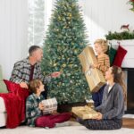 Pre-Lit Premium Artificial Nordic Fir Christmas Tree w/ 2-in-1 Twinkle LEDs